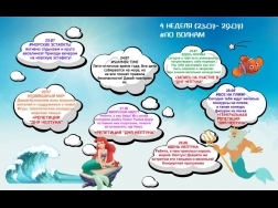 4-неделя