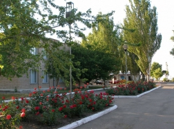 Территория